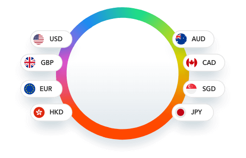 payoneer intbus